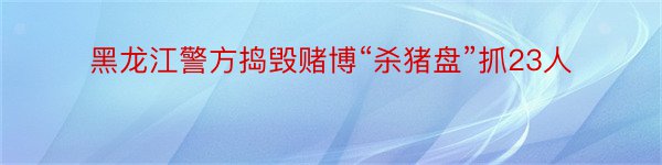 黑龙江警方捣毁赌博“杀猪盘”抓23人