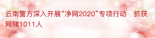 云南警方深入开展“净网2020”专项行动 抓获网赌1011人