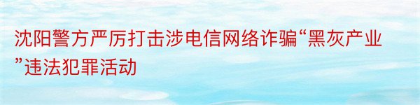 沈阳警方严厉打击涉电信网络诈骗“黑灰产业”违法犯罪活动