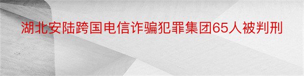 湖北安陆跨国电信诈骗犯罪集团65人被判刑