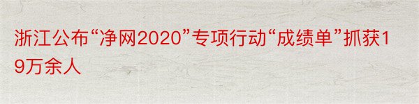 浙江公布“净网2020”专项行动“成绩单”抓获19万余人