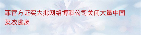菲官方证实大批网络博彩公司关闭大量中国菜农逃离