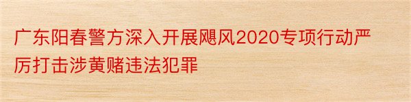 广东阳春警方深入开展飓风2020专项行动严厉打击涉黄赌违法犯罪