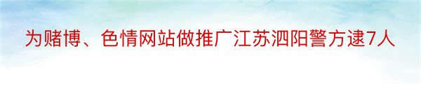为赌博、色情网站做推广江苏泗阳警方逮7人