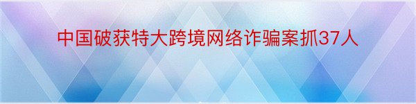 中国破获特大跨境网络诈骗案抓37人