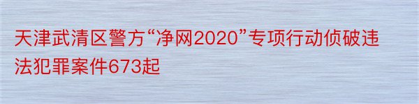 天津武清区警方“净网2020”专项行动侦破违法犯罪案件673起