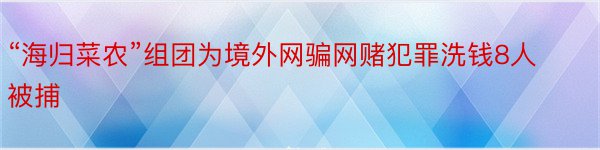 “海归菜农”组团为境外网骗网赌犯罪洗钱8人被捕