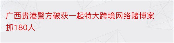 广西贵港警方破获一起特大跨境网络赌博案抓180人