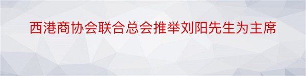 西港商协会联合总会推举刘阳先生为主席