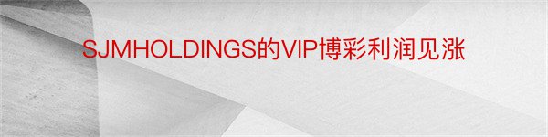 SJMHOLDINGS的VIP博彩利润见涨